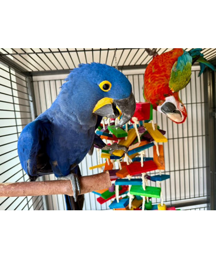 Parrot-Supplies Wood & Sisal Mega Jungle Macaw Parrot Toy